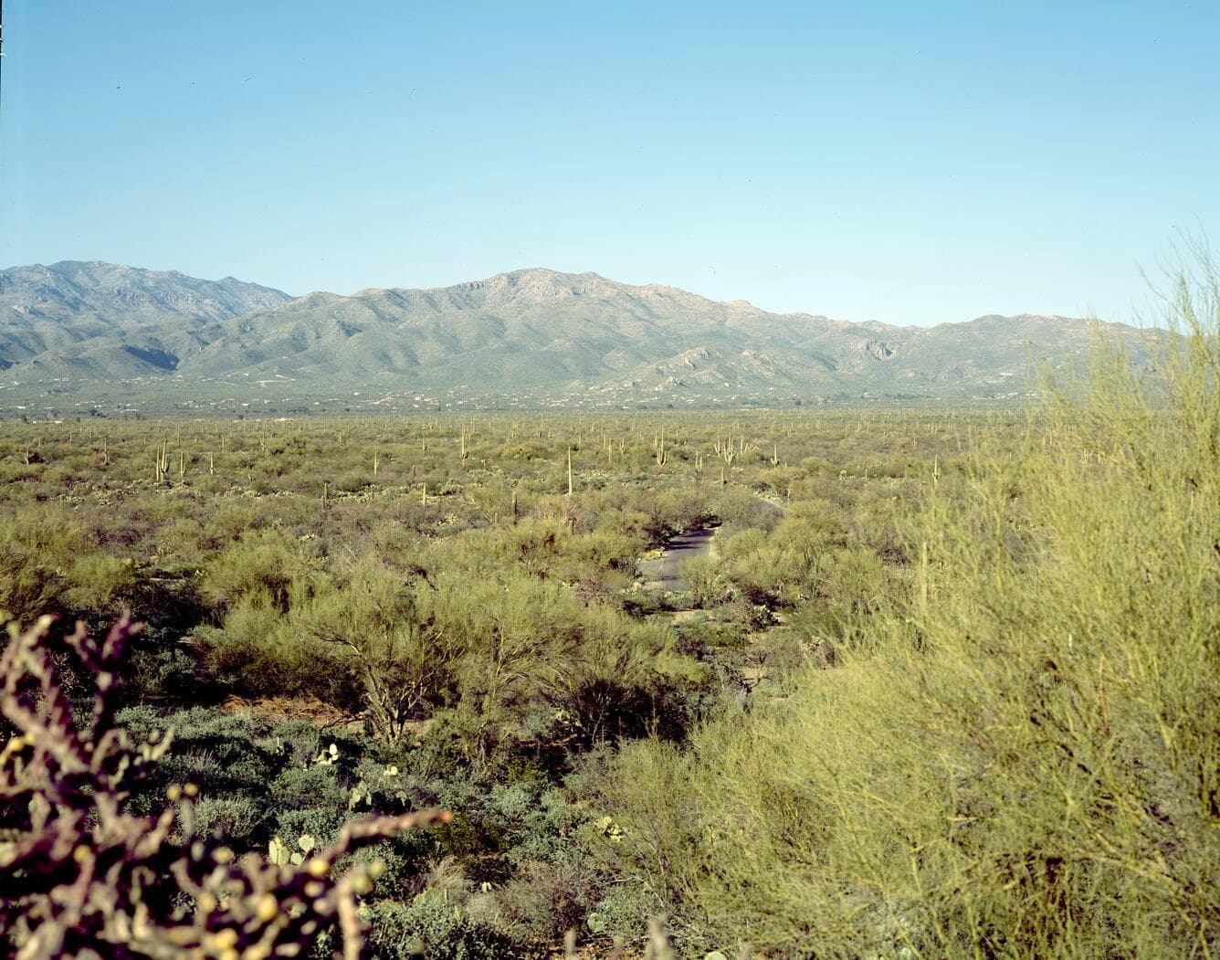 Saguaro National Park from camera point s0013 in 2010